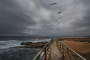 Read more about the article பாவங்கள் ஏற்படுத்தும் விளைவுகள் – 2