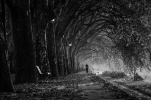 Read more about the article அர்த்தமின்மை