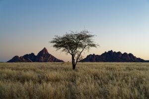 Read more about the article பக்குவம்