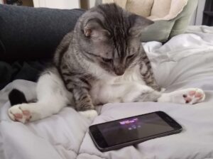 Read more about the article சலிப்பாக இருக்கிறது